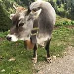 Kraehenberg Am Rande Der Wildnis * Sibratsgfäll