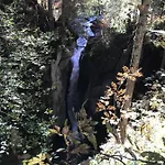 Kraehenberg Am Rande Der Wildnis * Sibratsgfäll