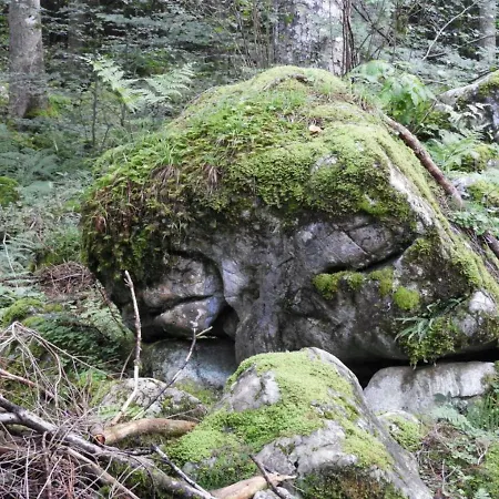 アパート Kraehenberg Am Rande Der Wildnis Sibratsgfäll