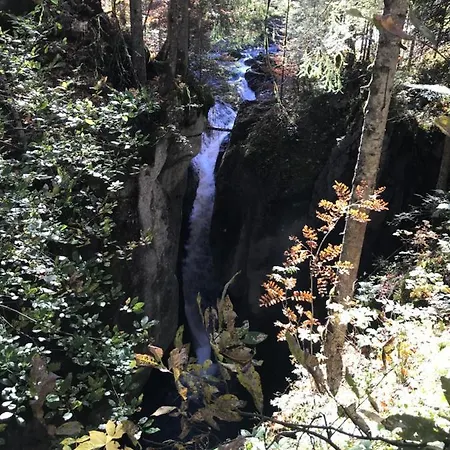 Kraehenberg Am Rande Der Wildnis * Sibratsgfäll