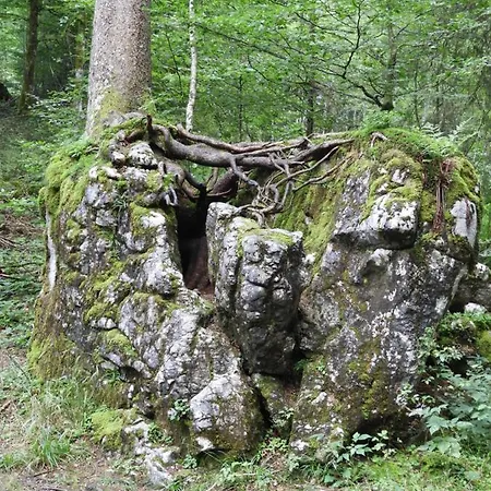 Kraehenberg Am Rande Der Wildnis Lejlighed Sibratsgfäll
