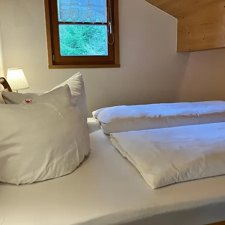 Kraehenberg Am Rande Der Wildnis *